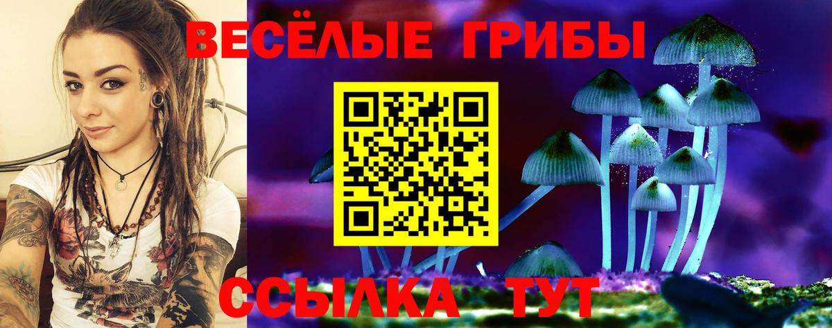 Галлюциногенные грибы MAGIC MUSHROOMS  Галлюциногенные грибы Cubensis  Вход с VPN  Сызрань 